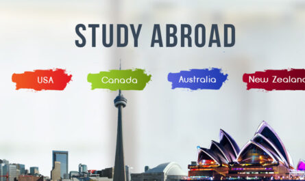 study abroad consultants